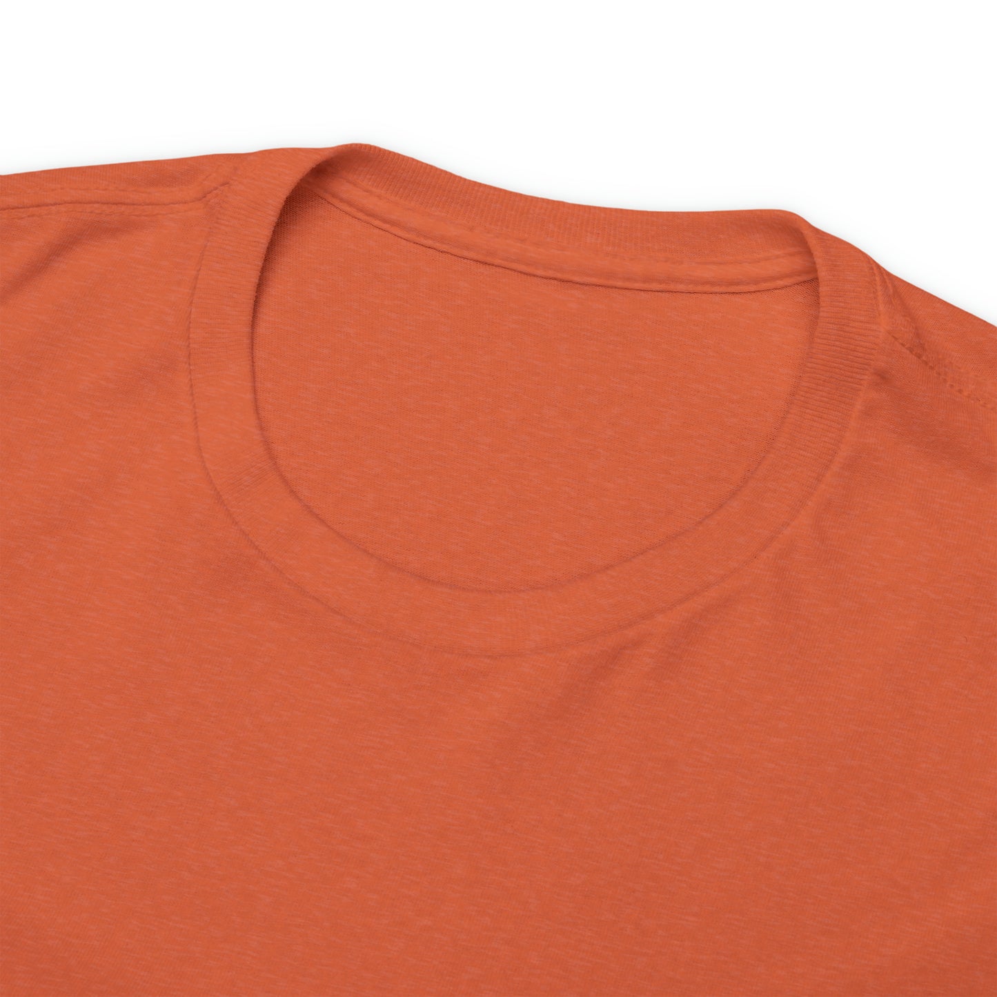 Fun Halloween Unisex Heavy Cotton Tee in a variety of colors