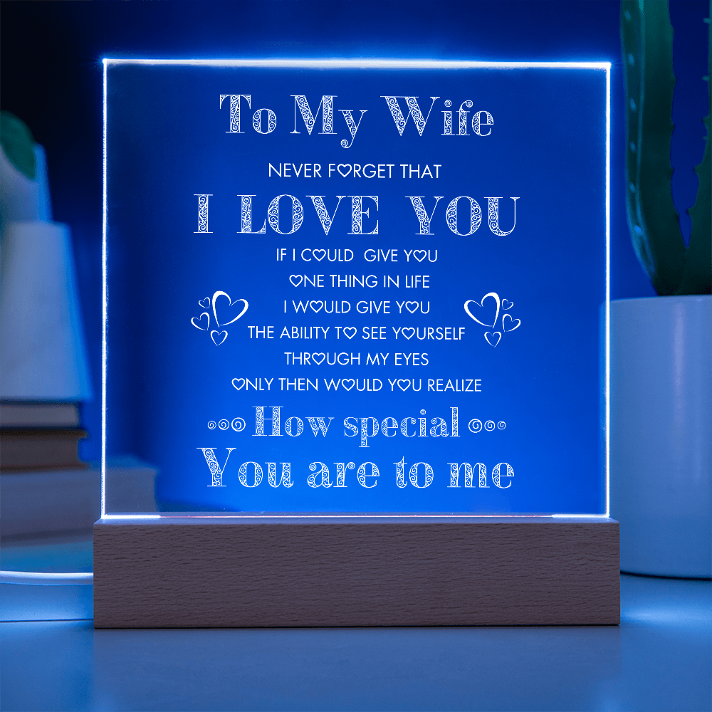 To My Wife, Never Forget I Love You Plaque, Night Lite, Great Gift Idea for Valentines, Anniversary, Birthday for Her