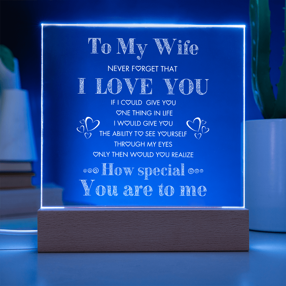 To My Wife, Never Forget I Love You Plaque, Night Lite, Great Gift Idea for Valentines,  Anniversary, Birthday for Her